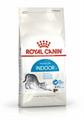 INDOOR CAT ROYAL CANIN KG 10