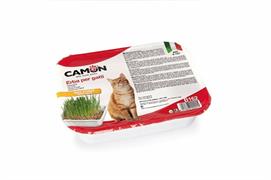 CAMON ERBA GATTO CON SEMI DI ORZO