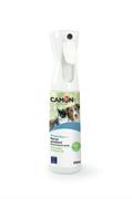 CAMON CITRONEEM SPRAY AMBIENTE ML 250 RICARICABILE