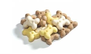 CAMON BISCOTTI MINI FATTORIA KG 10