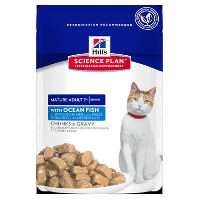 HILL'S CAT BUSTE SENIOR PESCE 12 X GR 85
