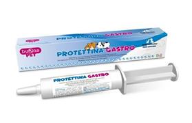 PROTETTINA GASTRO GR 30