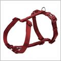 TX PREMIUM PETTOR.AD H,XS/S CM 30-40 MM 10BORDEAUX