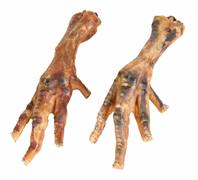 TX ZAMPE DI GALLINA GR 250