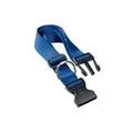 FERPLAST COLLARE CLUB C10/32 BLU