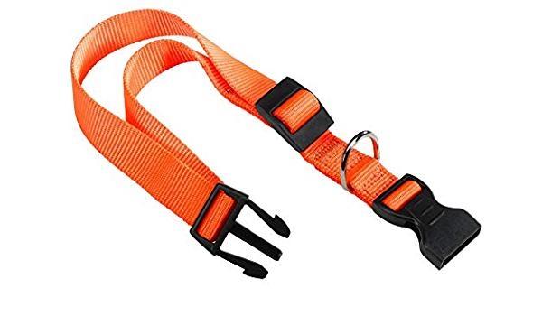 FERPLAST COLLARE CLUB C20/56 ARANCIO