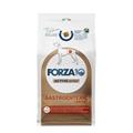 FORZA 10 GASTROENTERIC LOW FAT KG 10