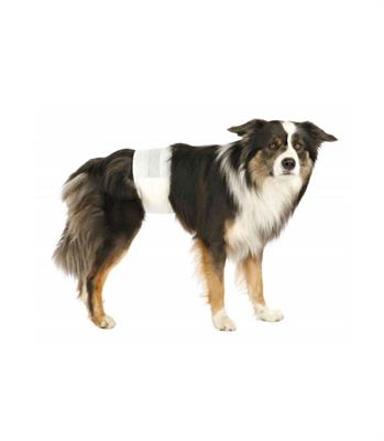 TX PANNOLINI A FASCIA CANI MASCHI TG S–M