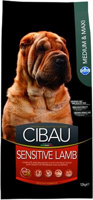 CIBAU SENSITIVE MEDIUM/MAXI AGNELLO KG 12