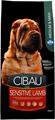 CIBAU SENSITIVE MEDIUM/MAXI AGNELLO KG 12