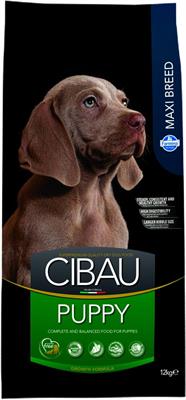 CIBAU PUPPY MAXI KG 12