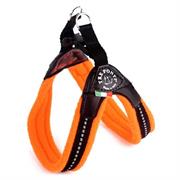 3P PETT.MORBID.PILE/CHIUS PLST M 1 ARA