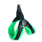 3P PETT.MORBID.PILE L/CHIU.PLST M 1 VER