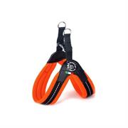 3P PETTORINA EASY FIT NEON 1 ARANCIO