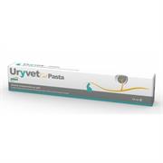 URYVET PASTA ML 15