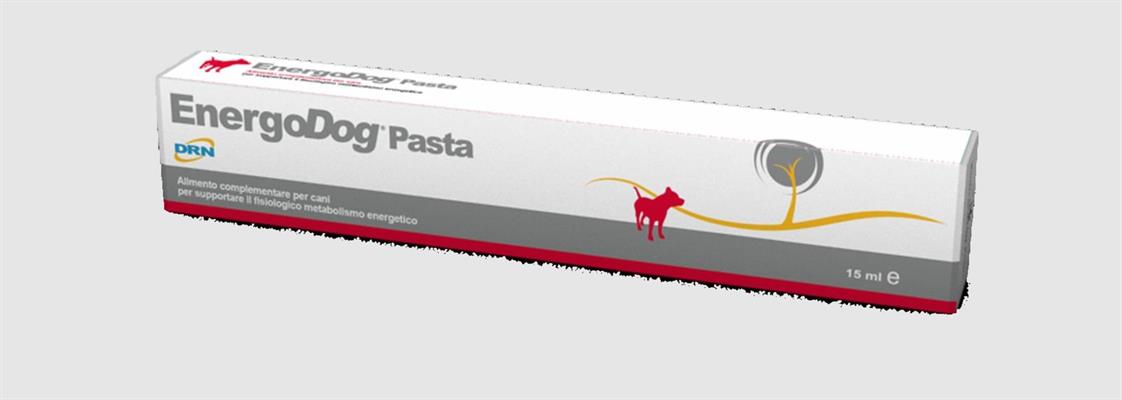 ENERGODOG PASTA ML 15