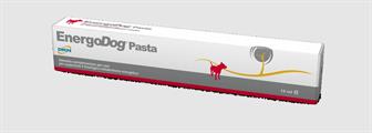 ENERGODOG PASTA ML 15