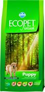 ECOPET NATURAL PUPPY KG 12