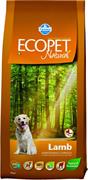 ECOPET NATURAL MAXI AGNELLO KG 12