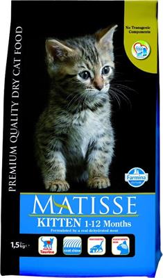 MATISSE KITTEN KG 1,5