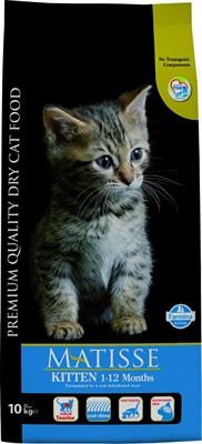 MATISSE KITTEN KG 10