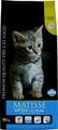 MATISSE KITTEN KG 10