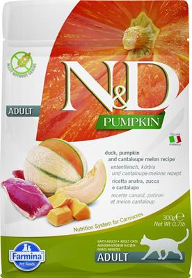 ND CAT PUMPKIN ANATRA/MELONE GR 300