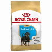 ROTTWEILER PUPPY ROYAL CANIN KG 12