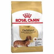 DACHSHUND ROYAL CANIN GR 500