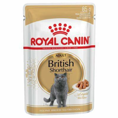 BRITISH SHORTHAIR ROYAL CANIN BUSTE 12 X GR 85