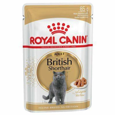 BRITISH SHORTHAIR ROYAL CANIN BUSTE 12 X GR 85