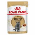 BRITISH SHORTHAIR ROYAL CANIN BUSTE 12 X GR 85