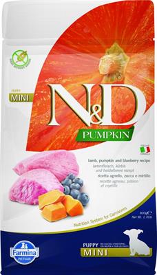 ND DOG PUMPKIN MINI PUPPY AGNELLO/MIRTILLO GR 800