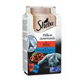 SHEBA DÉLICE DU JOUR GOURMANDS PARIS 6 X GR 50