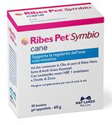 RIBES PET SYMBIO CANE GEL GR 60