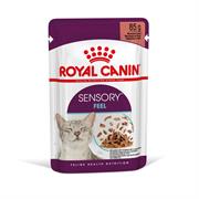 SENSORY FEEL CAT GRAVY ROYAL CANIN BUSTE 12 X GR 85