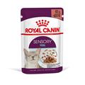 SENSORY FEEL CAT GRAVY ROYAL CANIN BUSTE 12 X GR 85