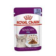SENSORY FEEL CAT JELLY ROYAL CANIN BUSTE 12 X GR 85