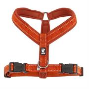 PETTORINA CASUAL Y CANNELLA 50-60