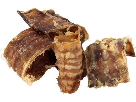 TRACHEA DI BOVINO