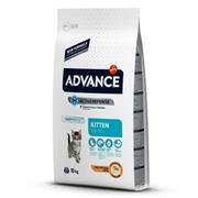 ADVANCE KITTEN GR 400