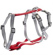 FERRIBIELLA PETTORINA ANTI-FUGA M GRIGIA/ROSSA COLLO