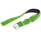 FERPLAST COLLARE DAYTONA C25/45 VERDE