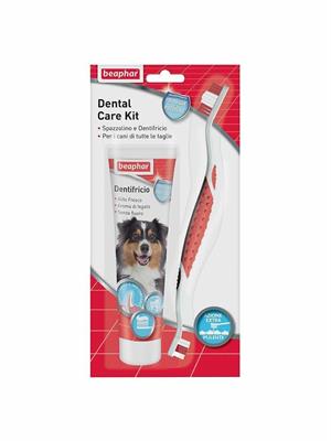 BEAPH DENTAL CARE KIT GR 100