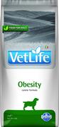VET LIFE DOG OBESITY KG 2