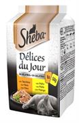 SHEBA DELICES DU JOUR GELATINA 6 X GR 50 POLLO NEW