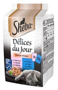 SHEBA DELICES DU JOUR SALSA 6 X GR 50 TONNO NEW