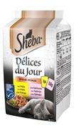 SHEBA DELICES DU JOUR SALSA 6 X GR 50 SALMONE NEW
