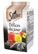SHEBA DELICES DU JOUR SALSA 6 X GR 50 POLLO NEW