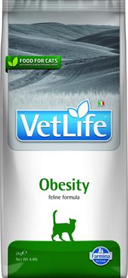 VET LIFE CAT OBESITY KG 2